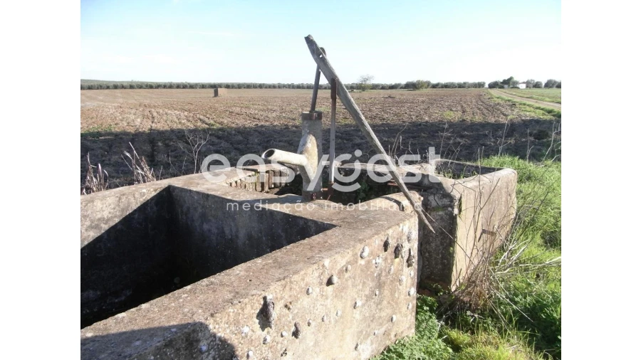 Terreno Misto para Venda em Ferreira do Alentejo e Canhestros Foto 5