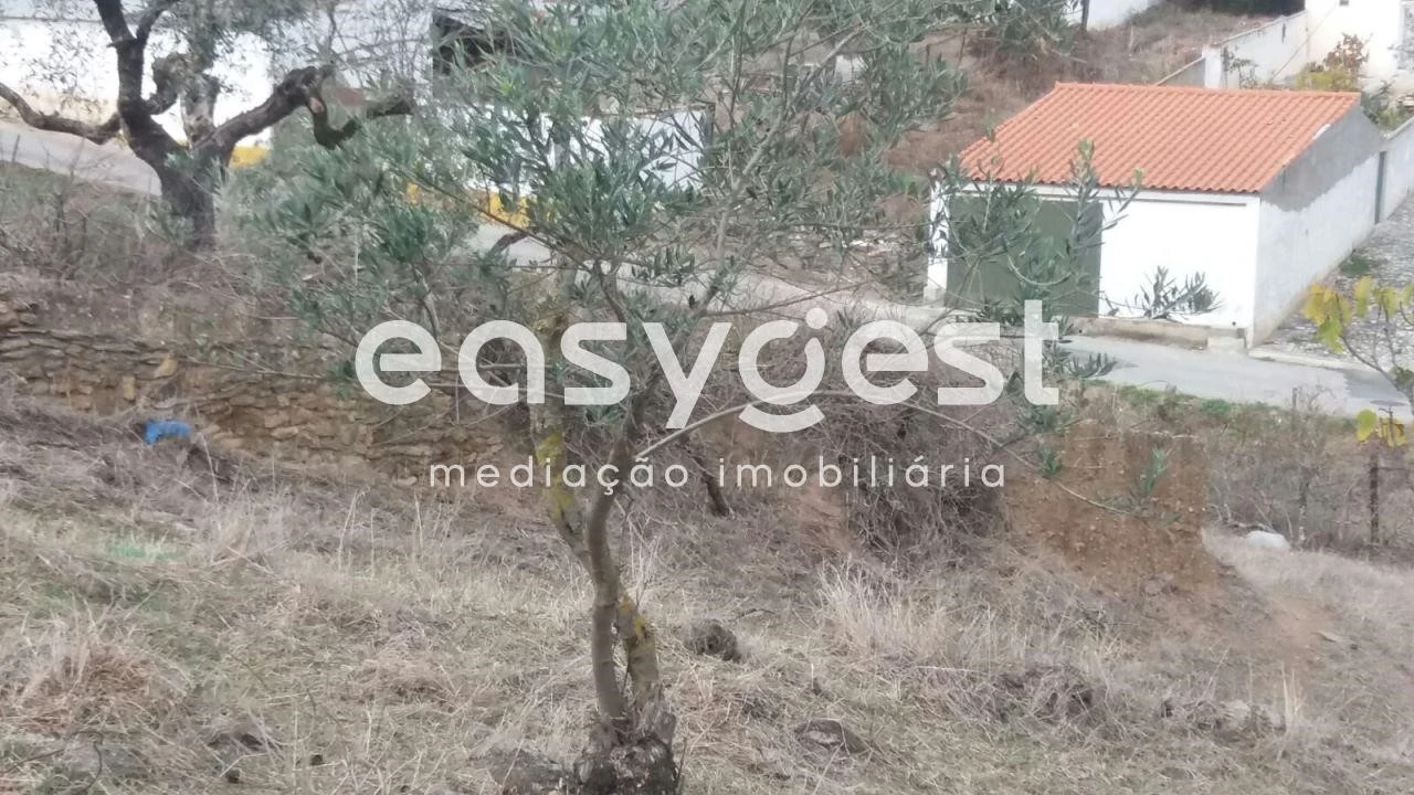 Moradia T2 para Venda em Safara e Santo Aleixo da Restauração Foto 3