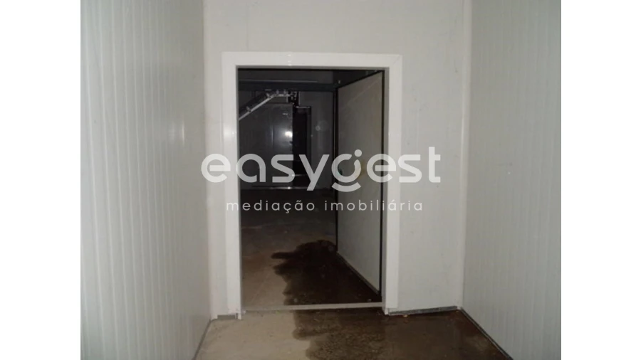 Terreno Comércio / Armazém para Venda em Ferreira do Alentejo e Canhestros Foto 17