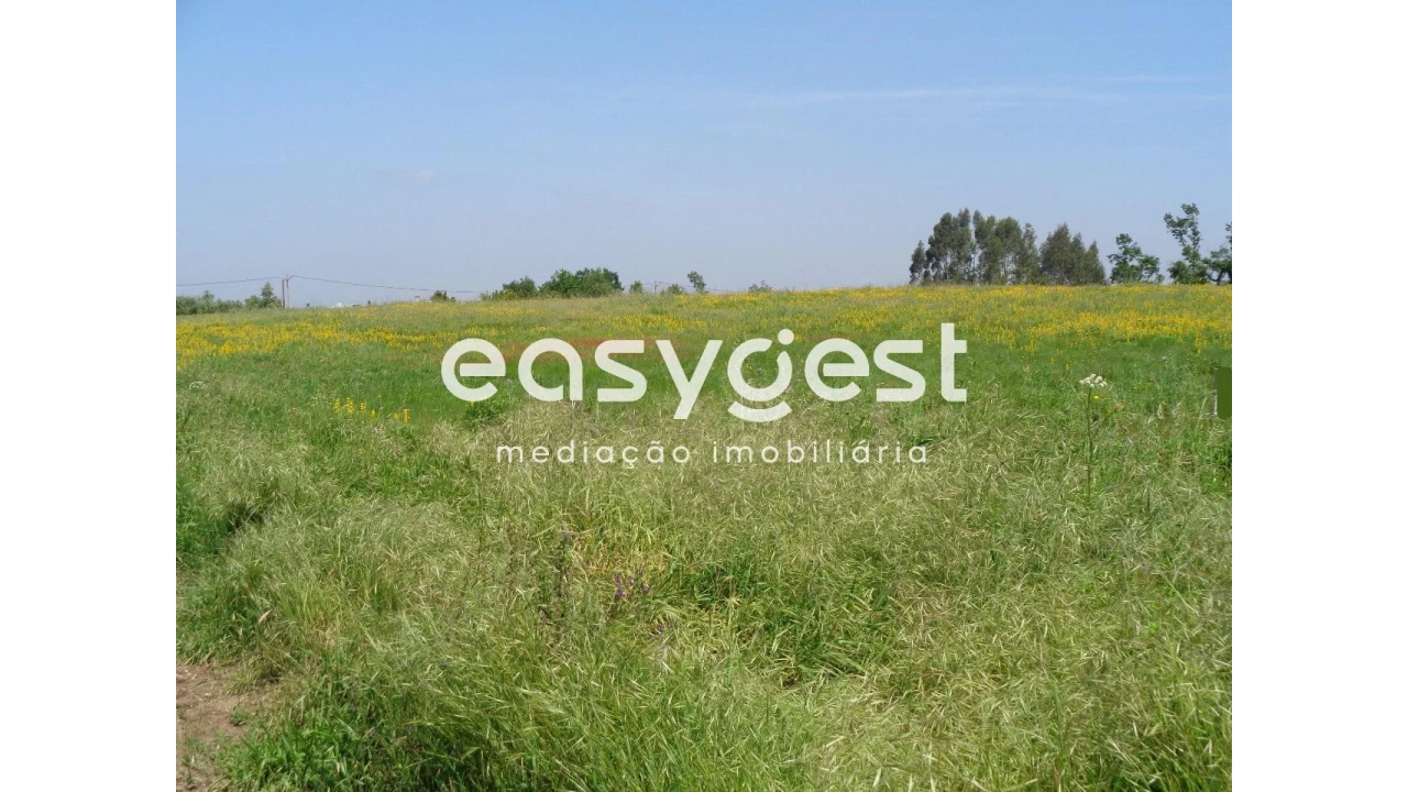 Terreno para Venda em Figueiro do Campo Foto 4