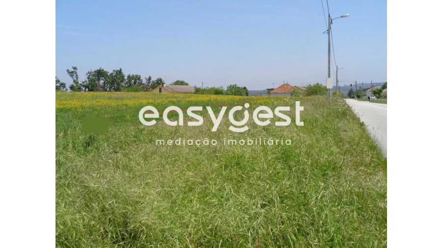 Terreno para Venda em Figueiro do Campo Foto 2