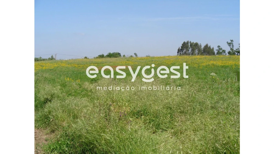 Terreno para Venda em Figueiro do Campo Foto 4