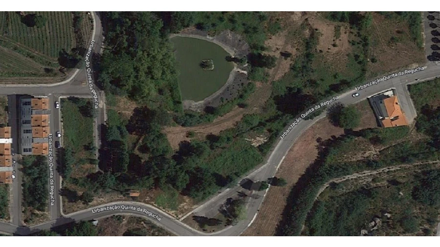 Terreno para Venda em Santa Comba Dão e Couto do Mosteiro Foto 1