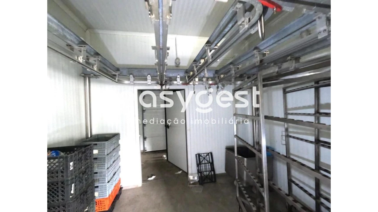 Armazém para Venda em São Miguel do Pinheiro, São Pedro de Solis, São Sebastião dos Carros Foto 13