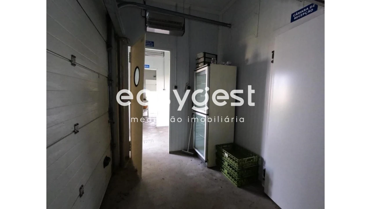 Armazém para Venda em São Miguel do Pinheiro, São Pedro de Solis, São Sebastião dos Carros Foto 15