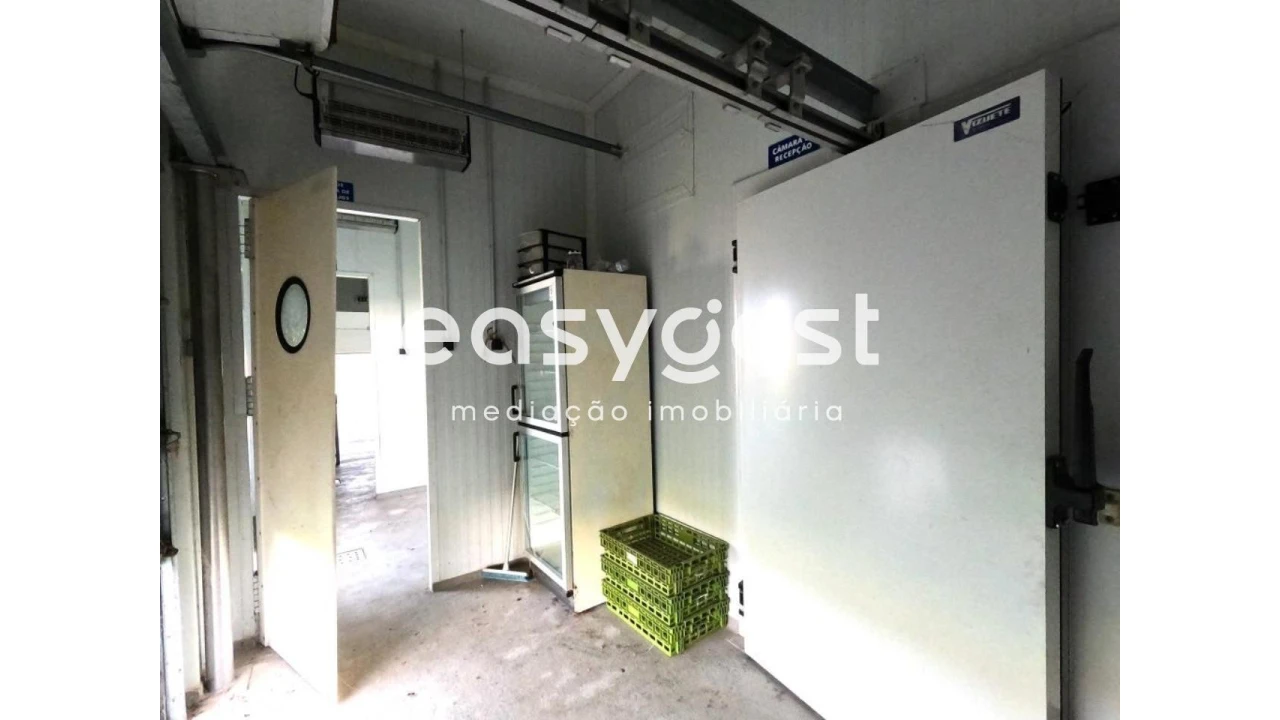 Armazém para Venda em São Miguel do Pinheiro, São Pedro de Solis, São Sebastião dos Carros Foto 17