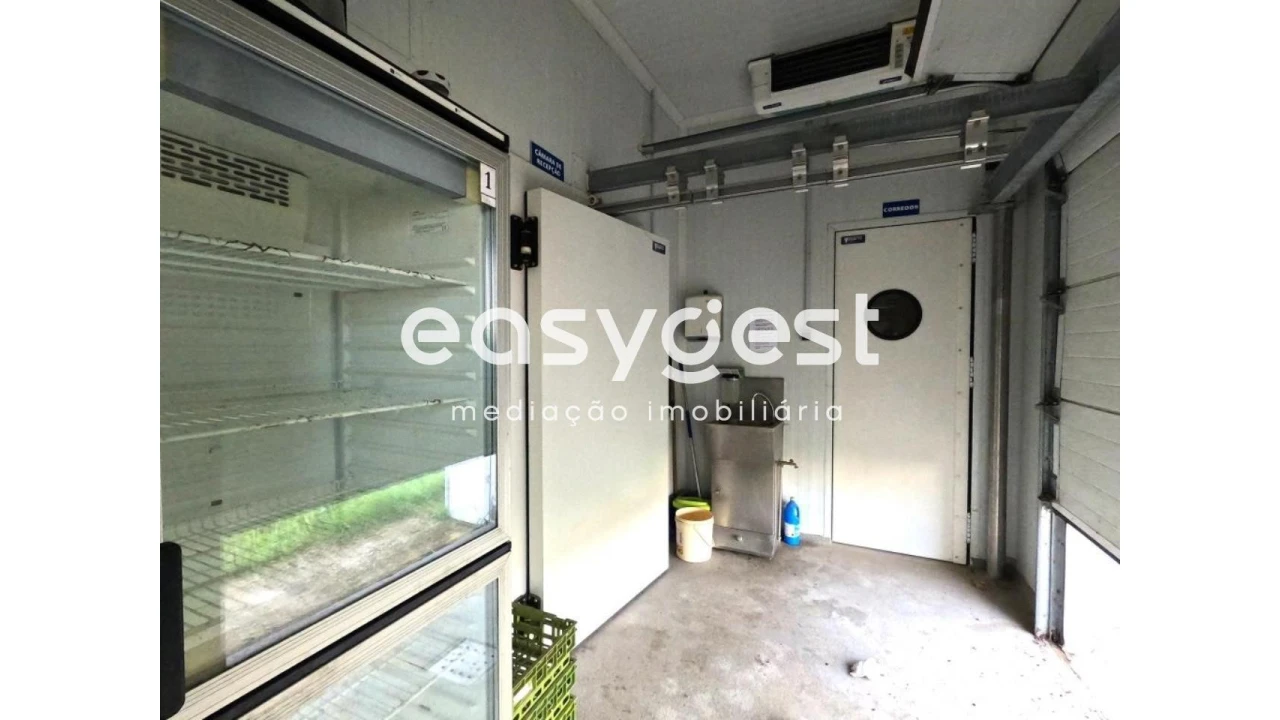 Armazém para Venda em São Miguel do Pinheiro, São Pedro de Solis, São Sebastião dos Carros Foto 21