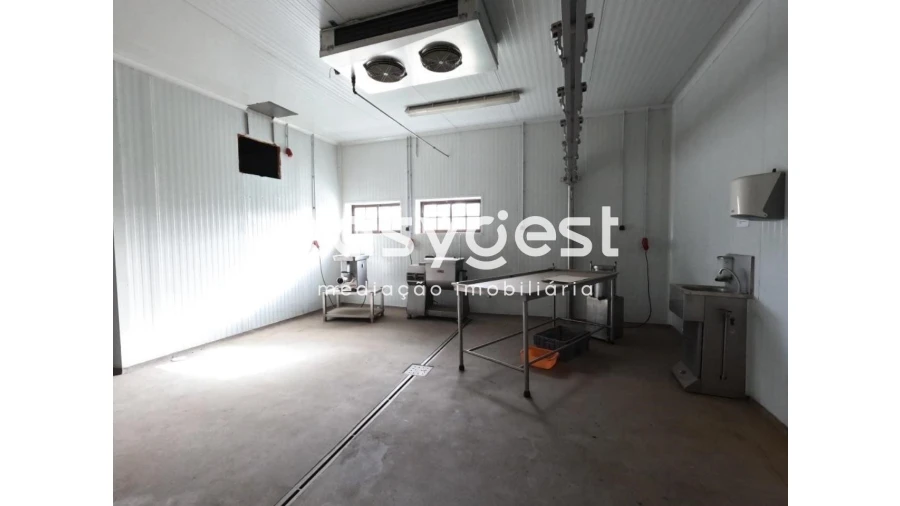 Armazém para Venda em São Miguel do Pinheiro, São Pedro de Solis, São Sebastião dos Carros Foto 12