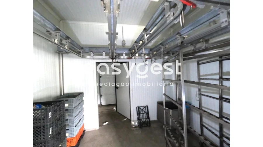 Armazém para Venda em São Miguel do Pinheiro, São Pedro de Solis, São Sebastião dos Carros Foto 13