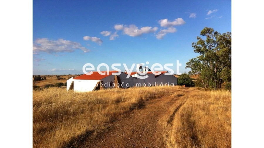 Quinta T4 para Venda em Santana de Cambas Foto 1