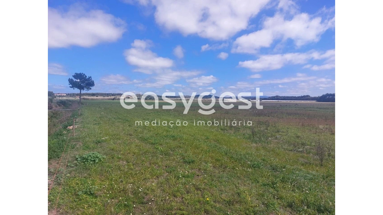Terreno Agricola ou Rústico para Venda em São Teotónio Foto 5