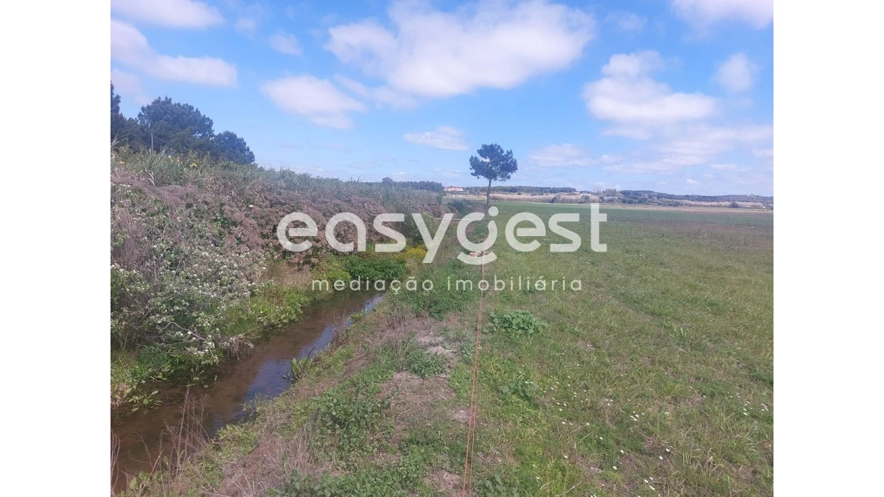 Terreno Agricola ou Rústico para Venda em São Teotónio Foto 6