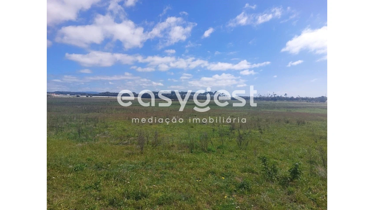 Terreno Agricola ou Rústico para Venda em São Teotónio Foto 7