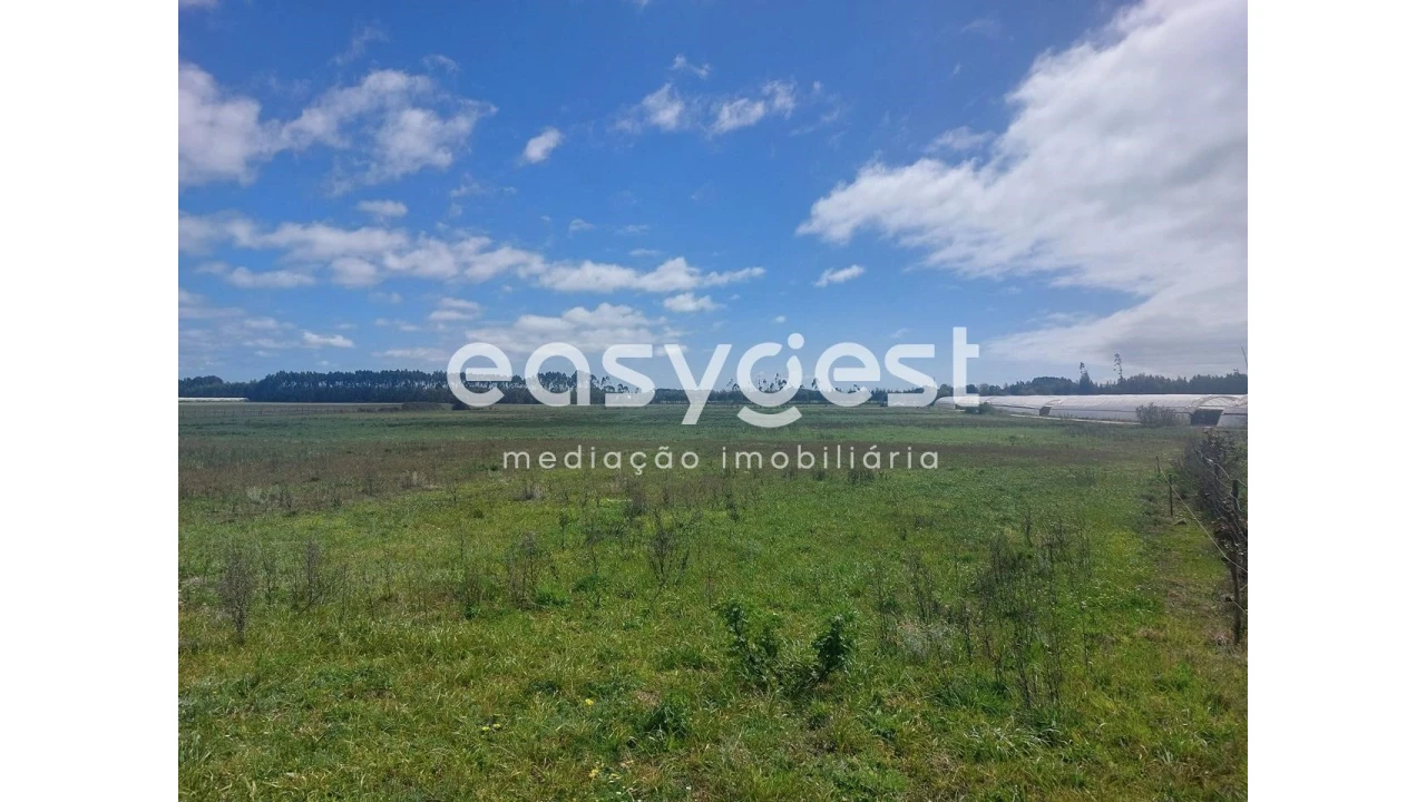 Terreno Agricola ou Rústico para Venda em São Teotónio Foto 8