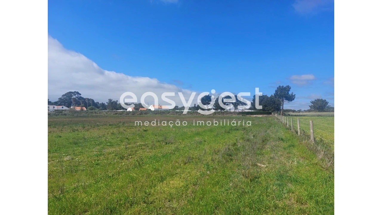 Terreno Agricola ou Rústico para Venda em São Teotónio Foto 9
