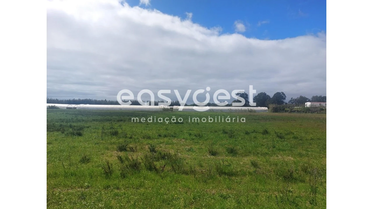 Terreno Agricola ou Rústico para Venda em São Teotónio Foto 10