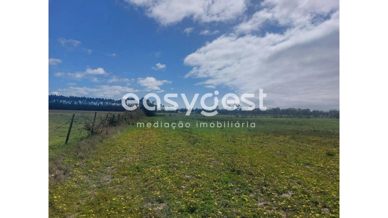 Terreno Agricola ou Rústico para Venda em São Teotónio Foto 11