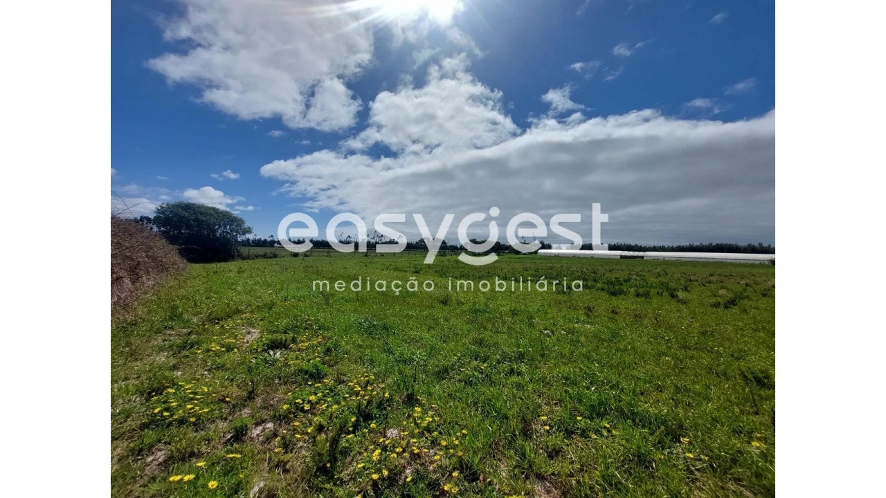 Terreno Agricola ou Rústico para Venda em São Teotónio Foto 12
