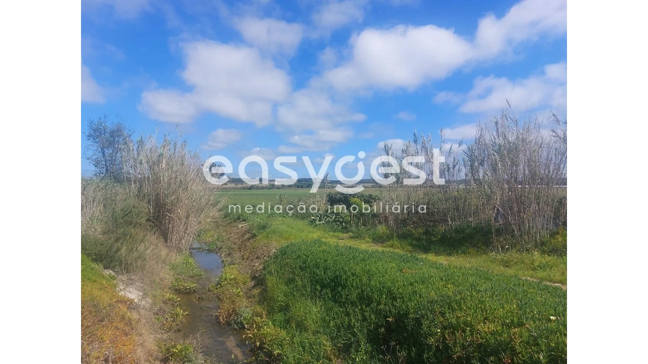 Terreno Agricola ou Rústico para Venda em São Teotónio Foto 15