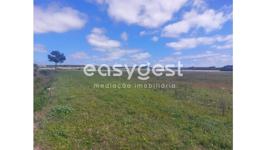 Terreno Agricola ou Rústico para Venda em São Teotónio Foto 5