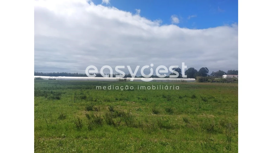 Terreno Agricola ou Rústico para Venda em São Teotónio Foto 10