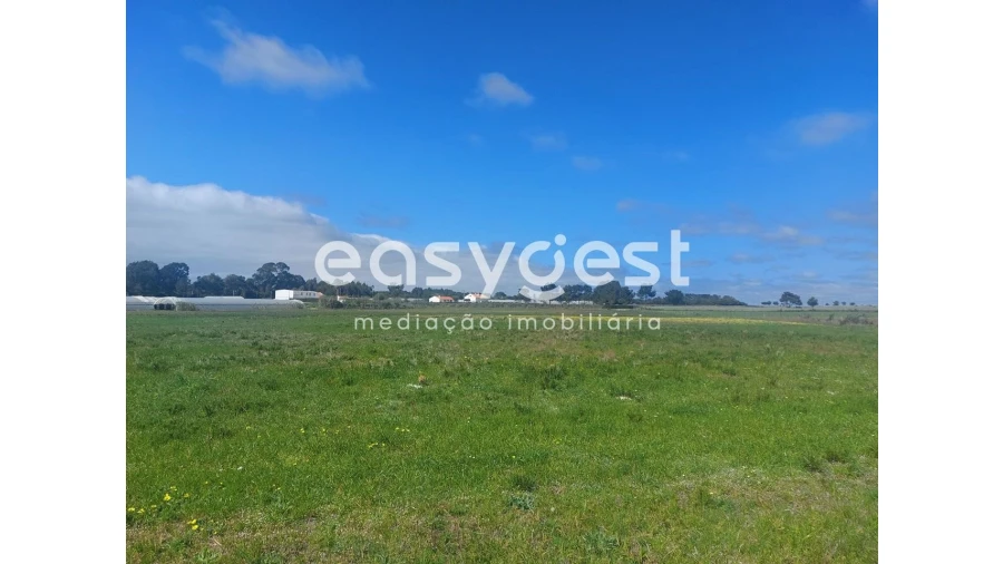 Terreno Agricola ou Rústico para Venda em São Teotónio Foto 13