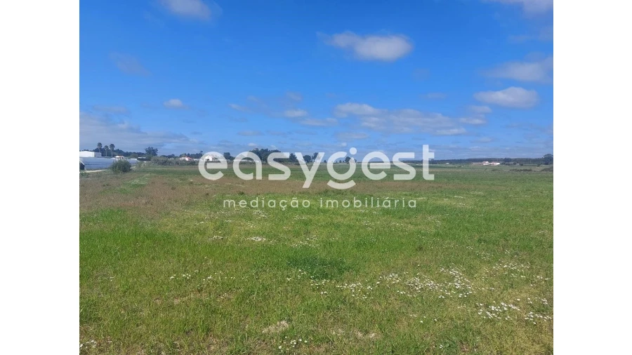 Terreno Agricola ou Rústico para Venda em São Teotónio Foto 14