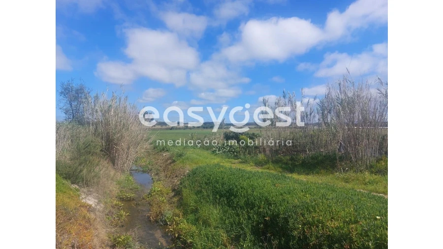 Terreno Agricola ou Rústico para Venda em São Teotónio Foto 15