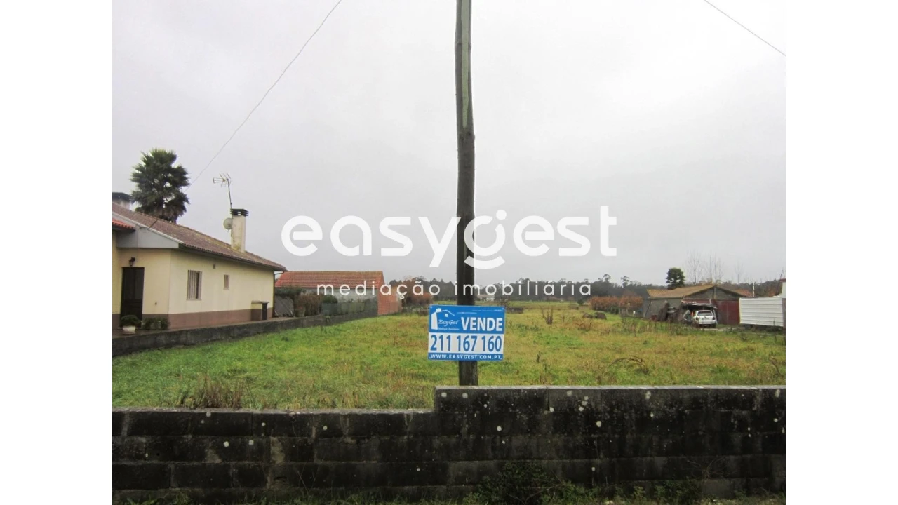 Terreno Agricola ou Rústico para Venda em Cantanhede e Pocariça Foto 1