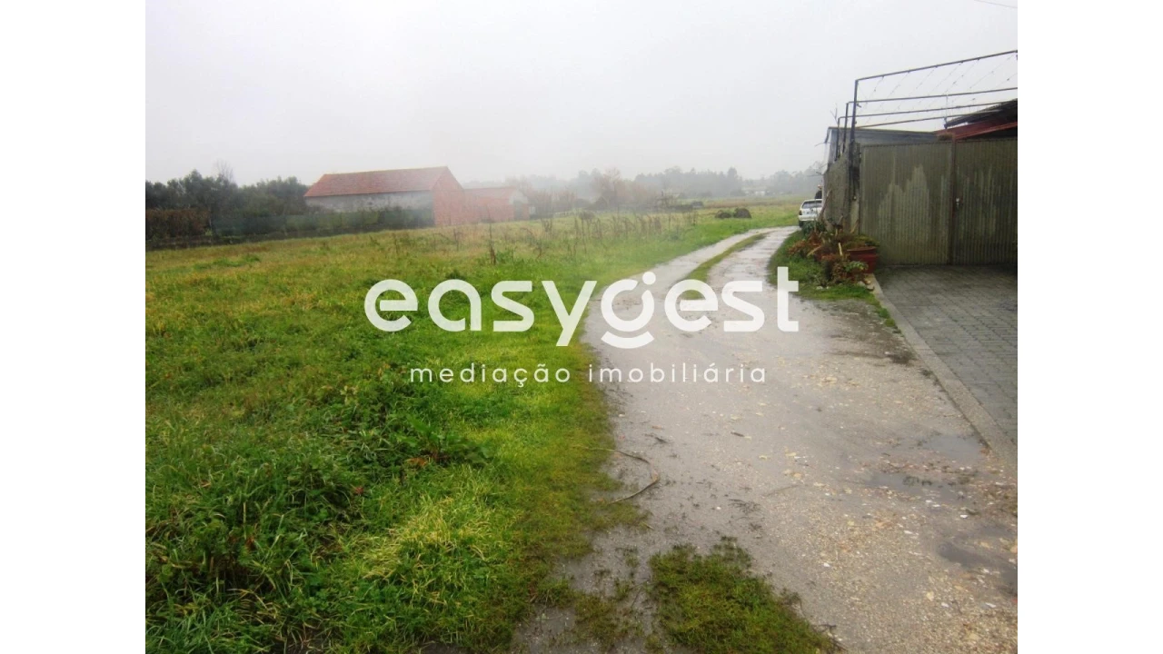 Terreno Agricola ou Rústico para Venda em Cantanhede e Pocariça Foto 2