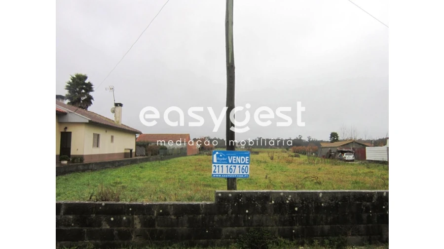 Terreno Agricola ou Rústico para Venda em Cantanhede e Pocariça Foto 1