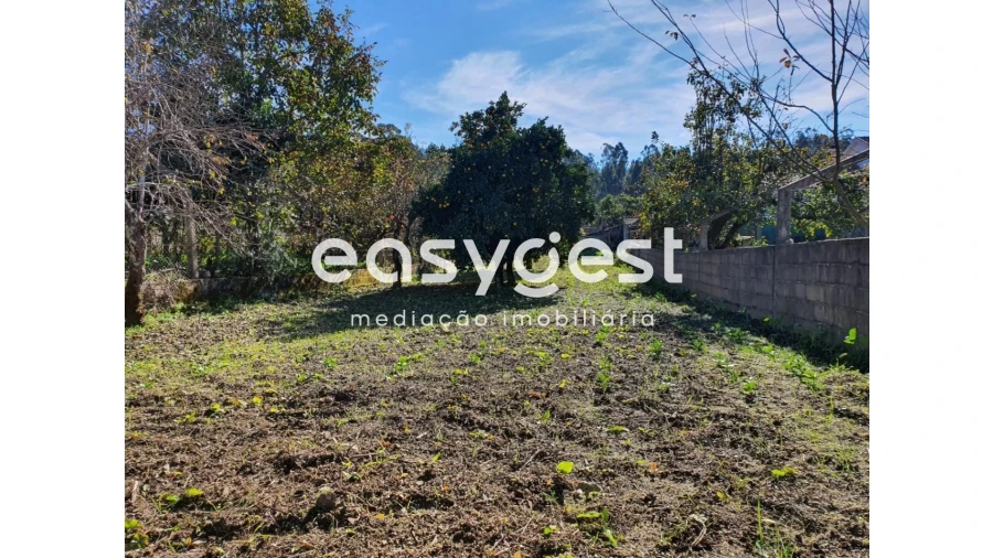 Moradia T2 para Venda em Espariz e Sinde Foto 13