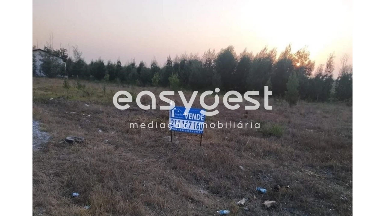 Terreno Agricola ou Rústico para Venda em Mira Foto 1