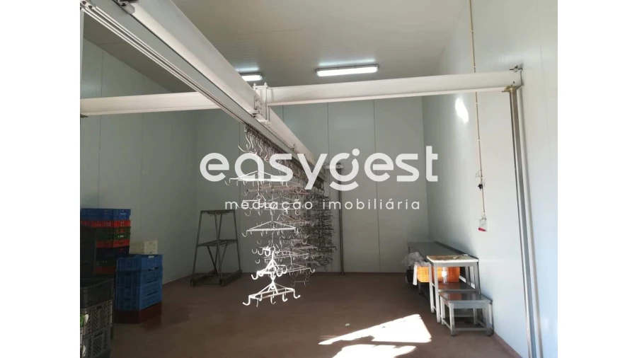 Armazém para Venda em Beja (Salvador e Santa Maria da Feira) Foto 6