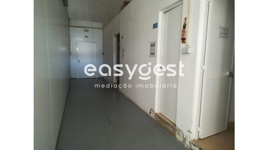 Armazém para Venda em Beja (Salvador e Santa Maria da Feira) Foto 7