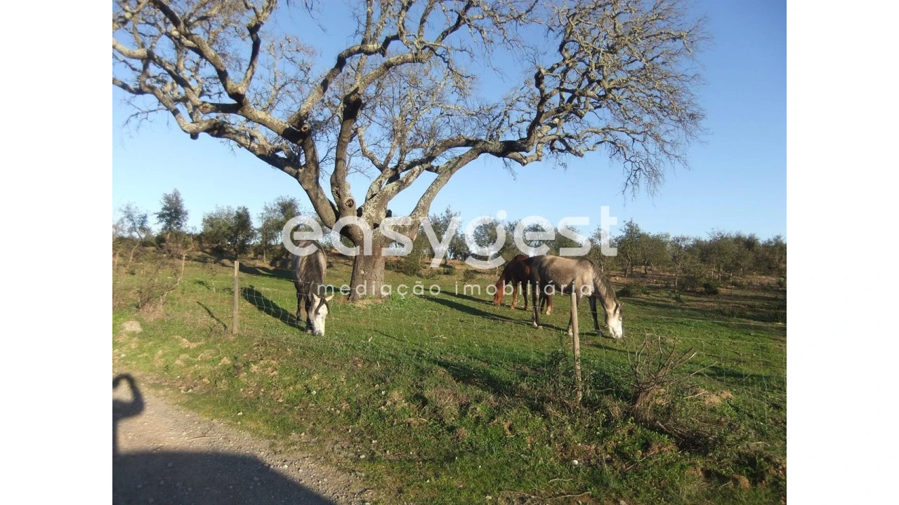 Quinta T2 para Venda em Santa Clara-A-Nova e Gomes Aires Foto 14