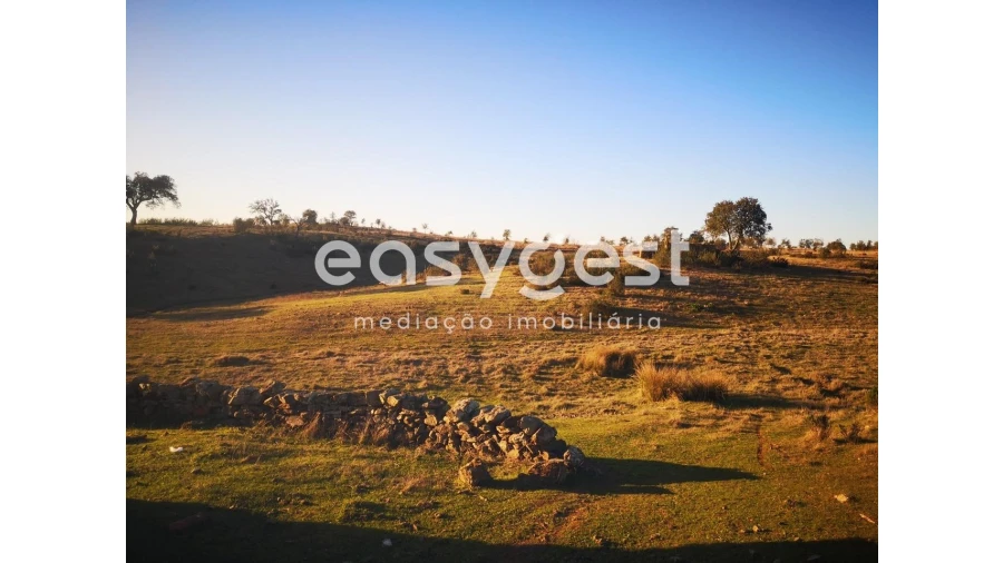 Quinta T2 para Venda em Santa Clara-A-Nova e Gomes Aires Foto 7