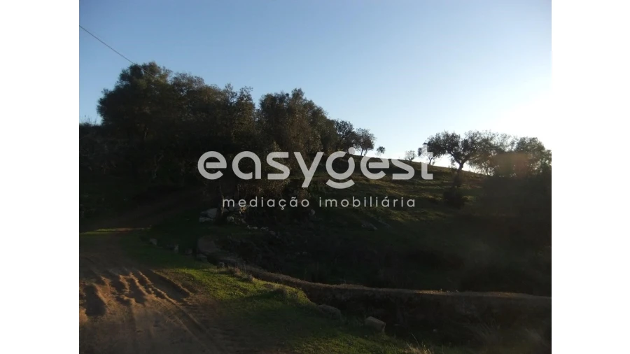 Quinta T2 para Venda em Santa Clara-A-Nova e Gomes Aires Foto 13