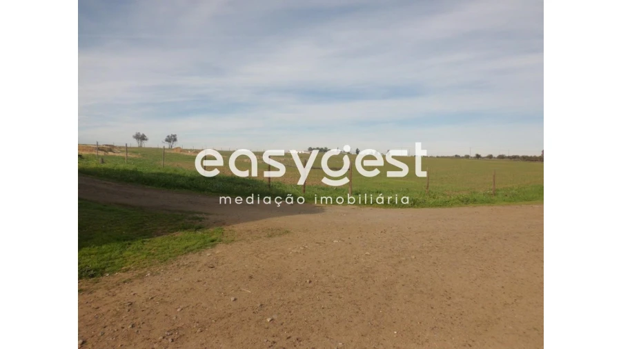 Terreno Agricola ou Rústico para Venda em Cuba Foto 4
