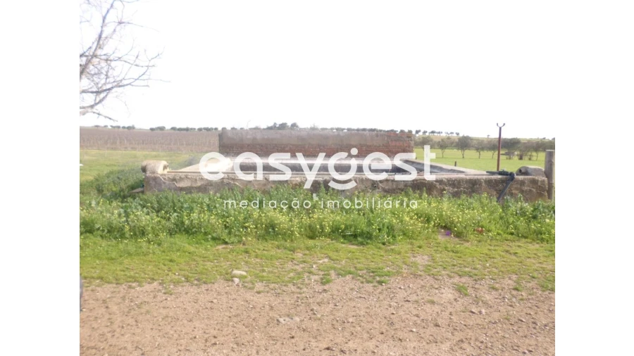 Terreno Agricola ou Rústico para Venda em Cuba Foto 5