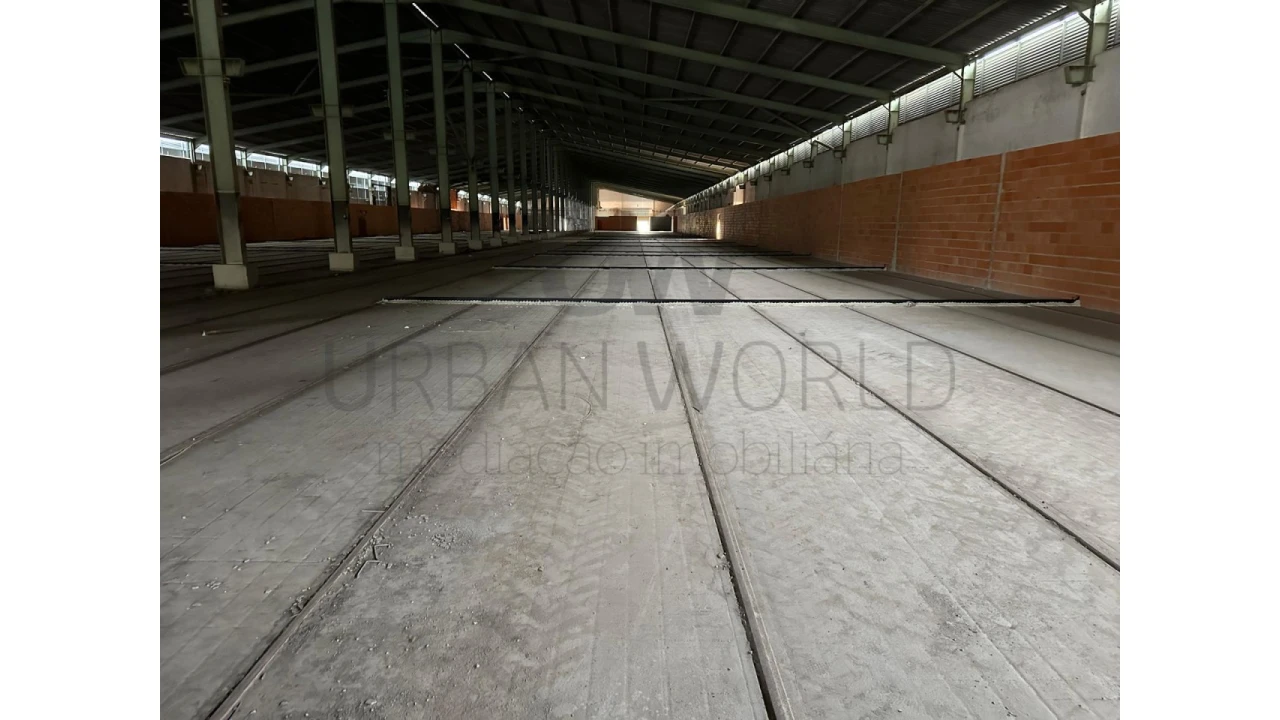 Armazém para Venda em Oliveira do Bairro Foto 2
