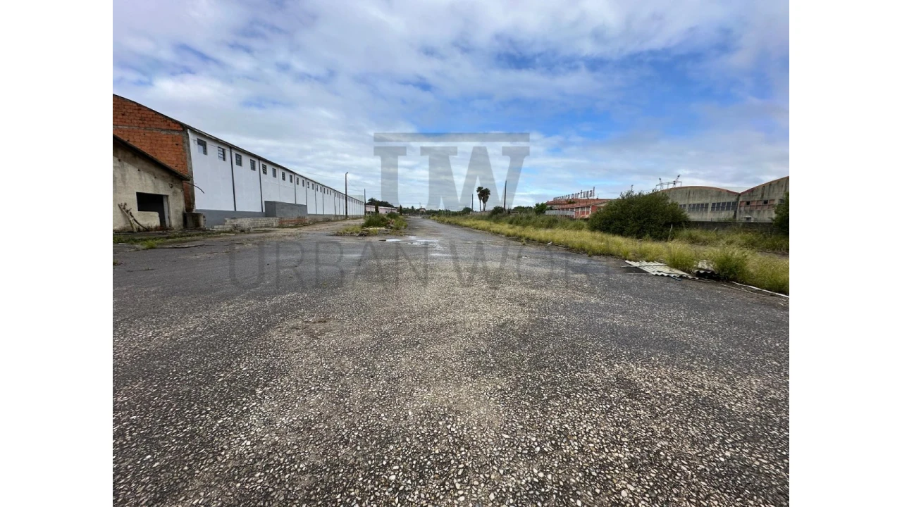 Armazém para Venda em Oliveira do Bairro Foto 14