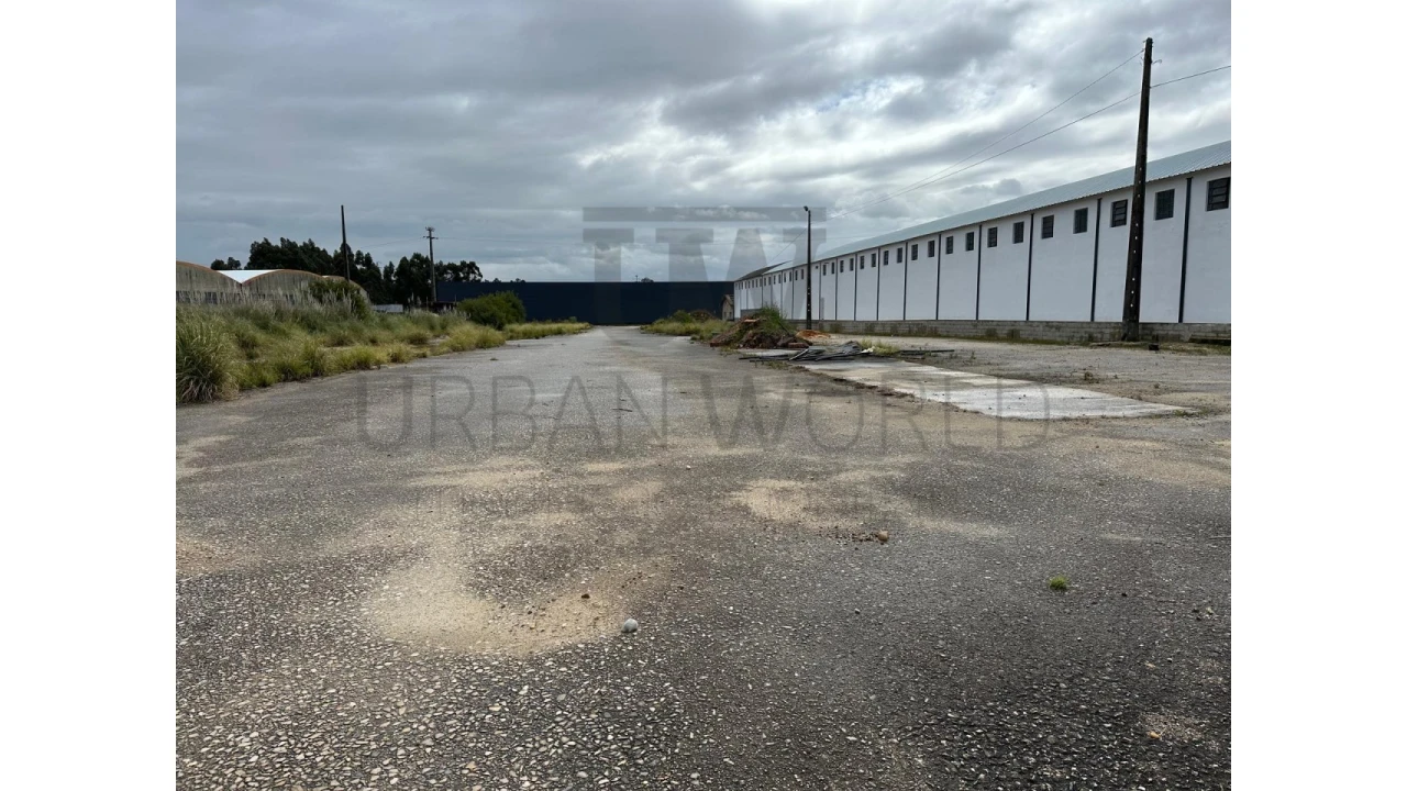 Armazém para Venda em Oliveira do Bairro Foto 16