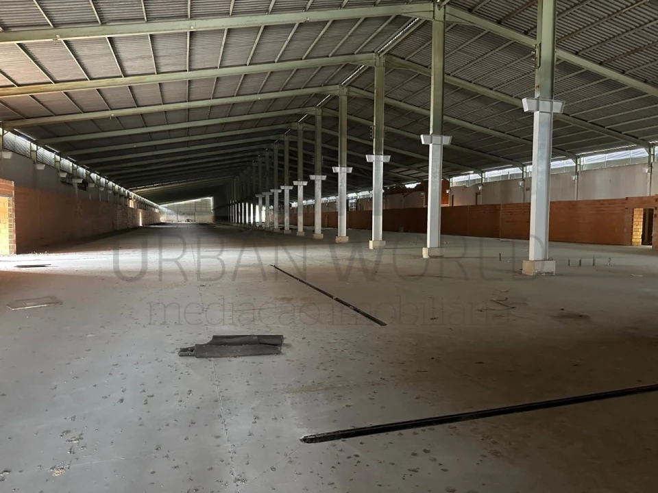Armazém para Venda em Oliveira do Bairro Foto 1