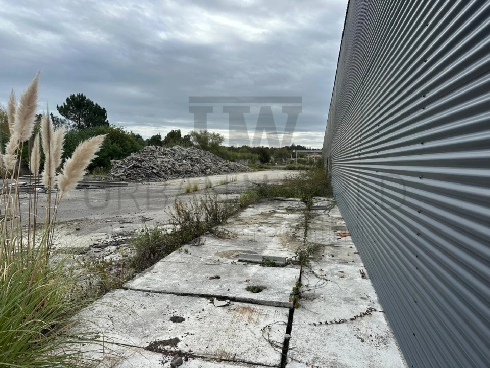 Armazém para Venda em Oliveira do Bairro Foto 6