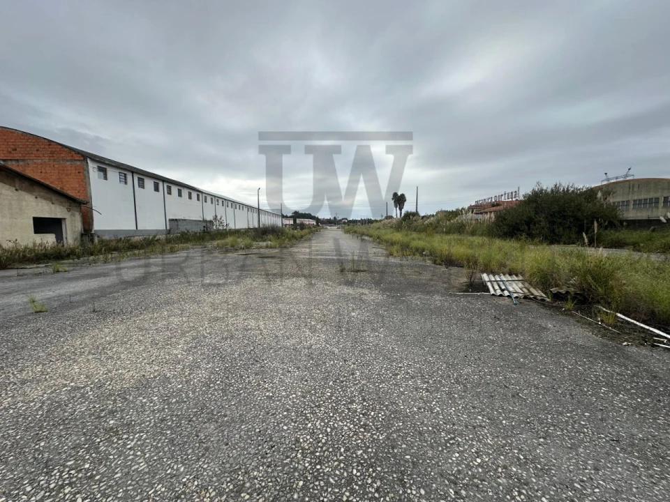 Armazém para Venda em Oliveira do Bairro Foto 15