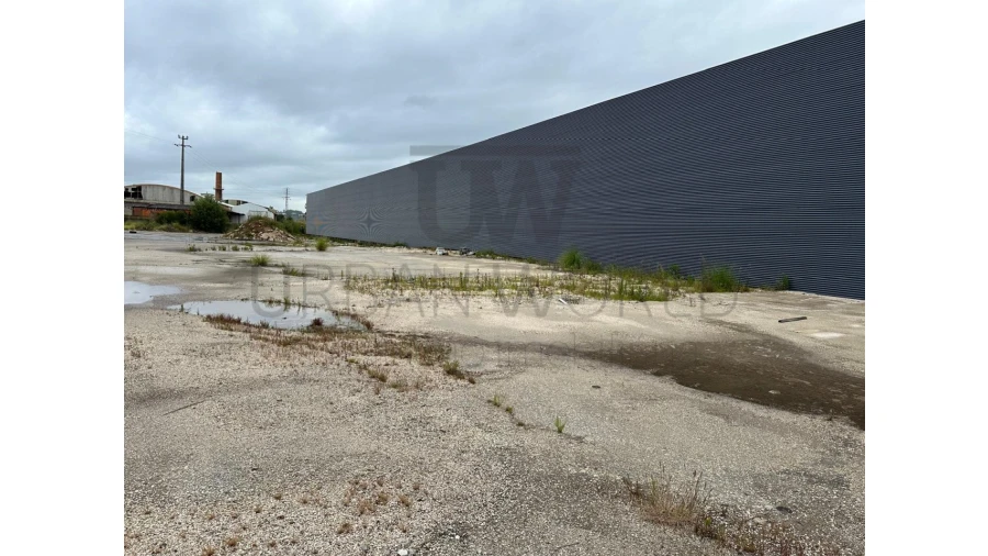 Armazém para Venda em Oliveira do Bairro Foto 10