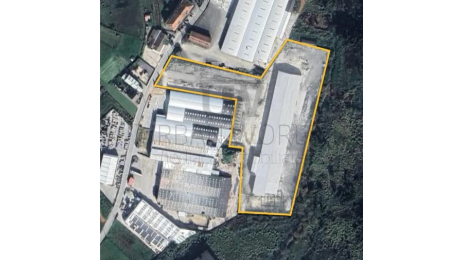 Armazém para Venda em Oliveira do Bairro Foto 22