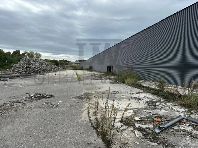 Armazém para Venda em Oliveira do Bairro Foto 4
