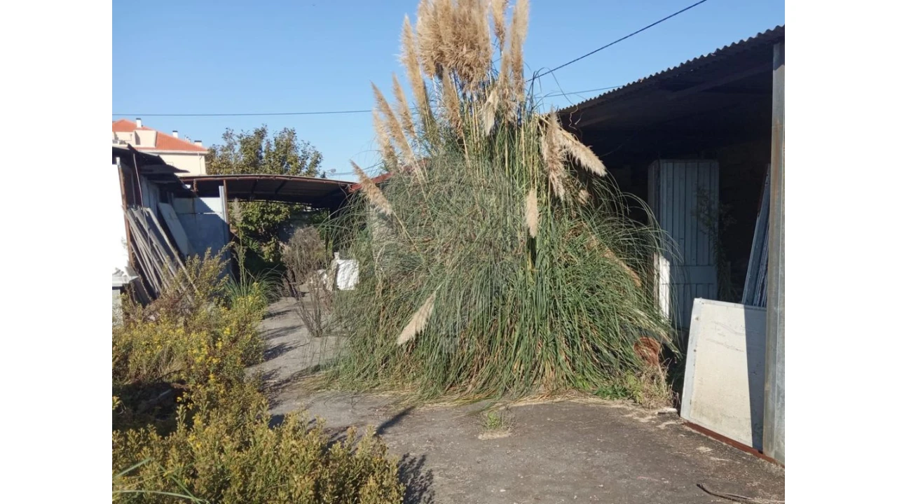 Armazém para Venda em Mafamude e Vilar do Paraíso Foto 11